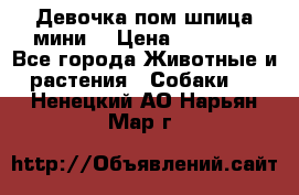 Девочка пом шпица мини  › Цена ­ 30 000 - Все города Животные и растения » Собаки   . Ненецкий АО,Нарьян-Мар г.